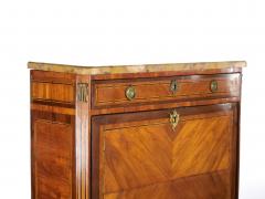 19th Century Louis Philippe Style Fall FrontChest - 3057155