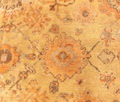 19th Century Persian Sultanabad Botanic Handmade Wool Rug - 2461863