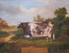 19th Century Portrait of a Prize Winning Cow in a Landscape Scene Forest Bel - 3445224