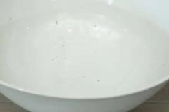 19th Century White Porcelain Bowl - 3525193