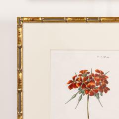 19th c French Framed Copper Plate Botanical Engraving on Laid Paper - 4245387
