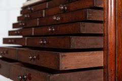 19thC English Mahogany Marble Top Collectors Cabinet - 2831407