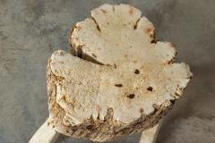 19thC French Provincial Elm Chopping Block Table - 3239544