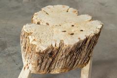 19thC French Provincial Elm Chopping Block Table - 3239551