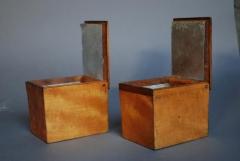 19thc coromandel wood brass bound tea caddy - 4780367