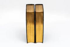 2 Volumes Edward Dowden The Life of Percy Bysshe Shelley  - 3767736