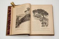 2 vol Colonel Wilson Picturesque Palestine Sinai and Egypt - 4687812