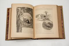 2 vol Colonel Wilson Picturesque Palestine Sinai and Egypt - 4687814