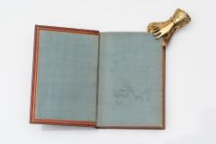 2 vol Lewis Carroll Alice in Wonderland Through the Looking Glass - 4478662