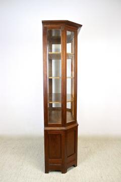 20th Century Art Nouveau Display Cabinet Vitrine Mahogany AT ca 1910 - 4121996