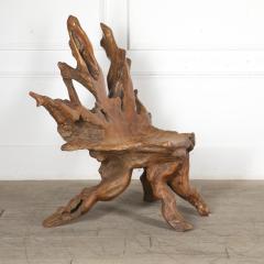 20th Century English Root Chair - 3611357