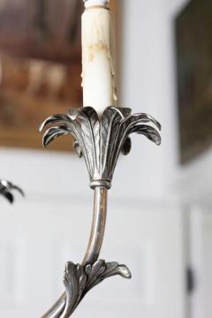 20th Century French Chandelier - 3945713