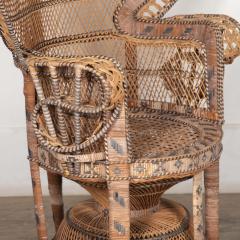 20th Century French Peacock Armchair - 3611769