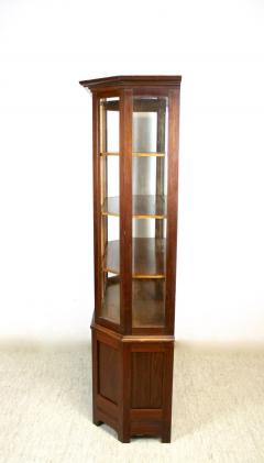 20th Century Mahogany Vitrine Cabinet with Faceted Glass Austria circa 1910 - 3443637