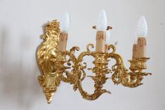 20th Century Majestic Pair of Wall Lights in Gilded Bronze - 3635978