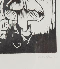 20th Century Swiss Collection of Mushroom Woodcut Prints - 4081582