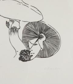 20th Century Swiss Collection of Mushroom Woodcut Prints - 4081585