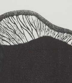 20th Century Swiss Collection of Mushroom Woodcut Prints - 4081591