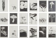 20th Century Swiss Collection of Mushroom Woodcut Prints - 4082079