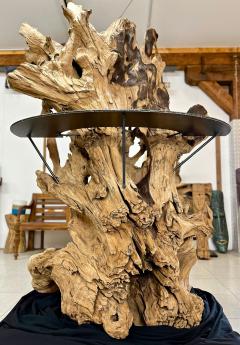 21st Century Gigantic Organic Modern Teak Root Stand Up Bar IDN 2023 - 4624157