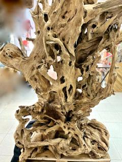 21st Century Gigantic Organic Modern Teak Root Stand Up Bar IDN 2023 - 4624164