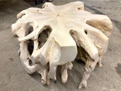 21st Century Organic Modern Bleeched Teak Wood Coffee Table IDN 2026 - 4644448
