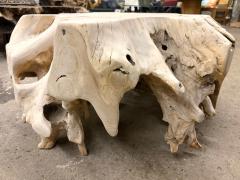 21st Century Organic Modern Bleeched Teak Wood Coffee Table IDN 2026 - 4644453