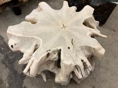 21st Century Organic Modern Bleeched Teak Wood Coffee Table IDN 2026 - 4644454