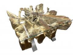 21st Century Organic Modern Teak Root Coffee Sofa Table Glass Plate IDN 2024 - 4493197