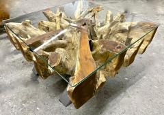 21st Century Organic Modern Teak Root Coffee Sofa Table Glass Plate IDN 2024 - 4493200