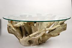 21st Century Round Teak Root Coffee Table with Glass Plate Organic Modern 2024 - 4139680