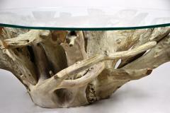 21st Century Round Teak Root Coffee Table with Glass Plate Organic Modern 2024 - 4139681