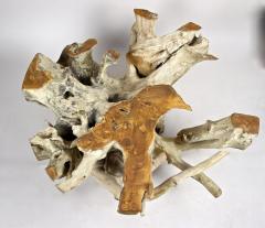 21st Century Round Teak Root Coffee Table with Glass Plate Organic Modern 2024 - 4139686