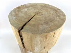 21st Century Rustic Teak Wood Stool Side Table Handcarved Modern Organic - 4691621