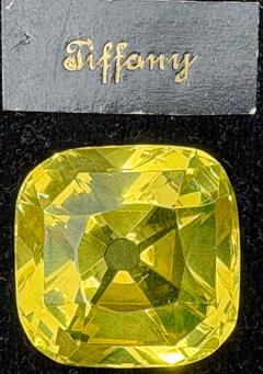 25 Glass Reproductions of Historical Diamonds Leather Pad Case Sothebys Prov  - 4212402