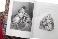 3 Volumes G N Wright The Peoples Gallery of Engravings - 3200385