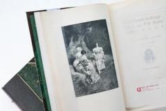 47 Volumes Alexandre Dumas The Complete Works  - 3550578