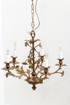 5 Stem Brass Chandelier - 1614833