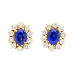 6 28 Carat Royal Ceylon Blue Sapphire and Diamond Halo Stud Earrings - 3834931