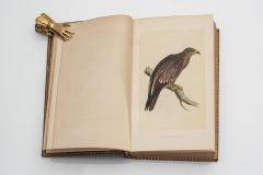 6 vol Rev Morris A History of British Birds - 4533706