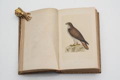 6 vol Rev Morris A History of British Birds - 4533708