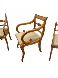 8 Regency Dining Chairs Tiger Maple and birdseye maple - 3681016