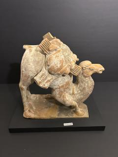 A Chinese Kneeling Camel Tang Dynasty 618 908 AD or earlier TL tested  - 4472096