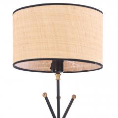 A French Iron and Brass Tripod Table Lamp C 1960  - 4333024