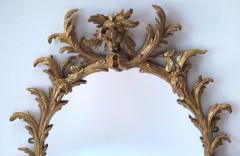 A Good Quality George II Rococo Gilt Wood Oval Foliate Carved Mirror - 289999