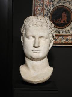 A Large Grand Tour Marble Head of Emperor Galba after the antique  - 4017088