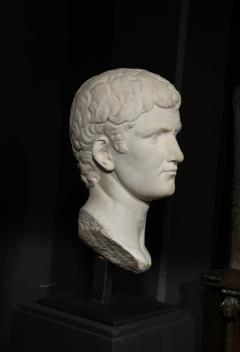 A Large Grand Tour Marble Head of Emperor Galba after the antique  - 4017072