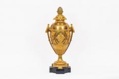 A Magnificent Pair of French Louis XVI Style Ormolu Vases - 4310606