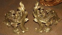 A Pair of 19th Century French Louis XV Bronze Dor Chenets Andirons  - 3340649