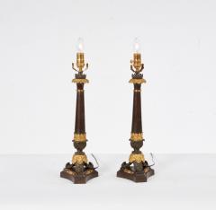 A Pair of Bronze Neoclassical Lamps - 4600544
